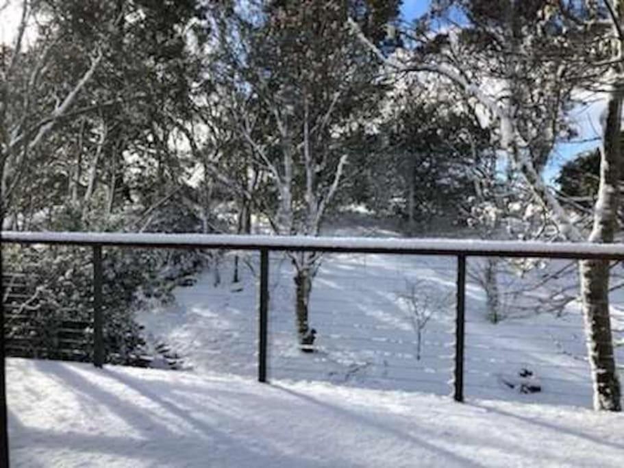 Narrow Neck Views - Peaceful 4 Bedroom Home With Stunning Views! カトゥーンバ エクステリア 写真